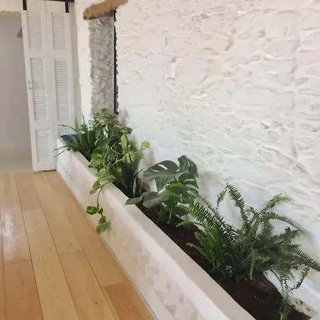 Appartement Cozy: An Eccentric Abode W/ Sea View In ❂ *